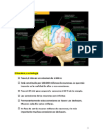 2 A - Segundo Curso El - Cerebro - y - Su - Biologia