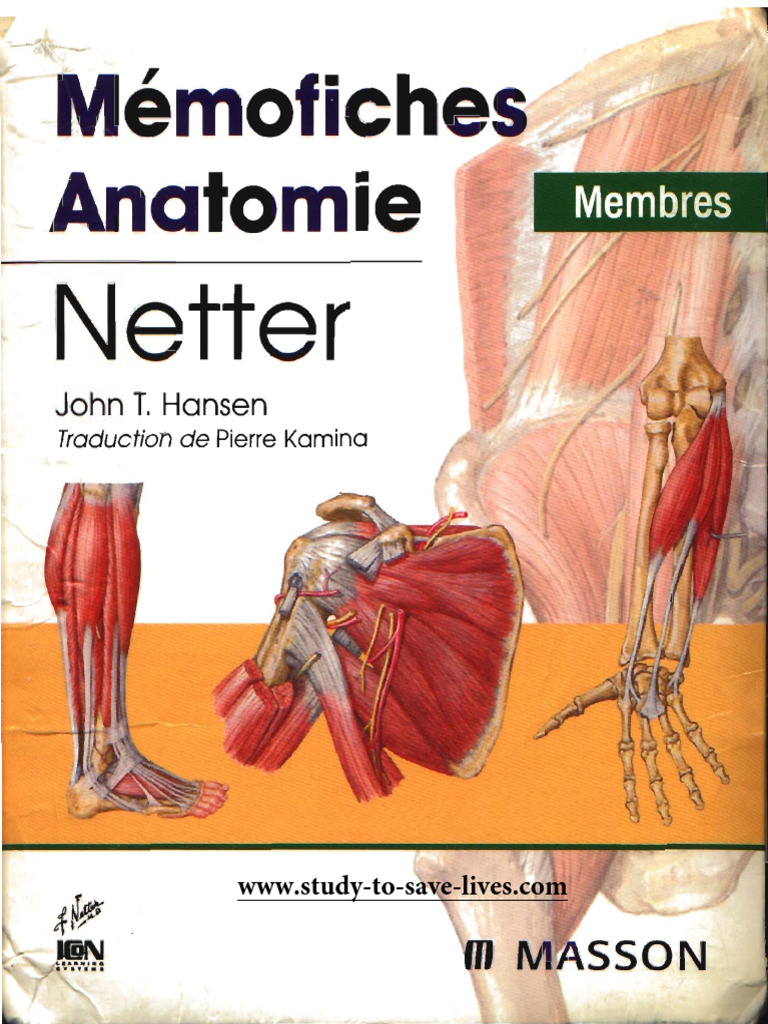 M mofiches anatomie netter pdf