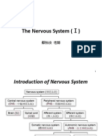 N - The Nervous System - 1 - 112 - 1