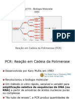 Aula 3 - PCR