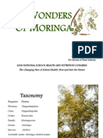 Moringa - VM