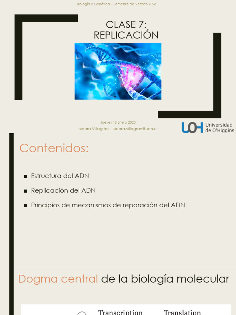 Replicación del ADN y sus Mecanismos | PDF | Replicación De Adn | Adn