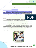 PDF Professores e Jps