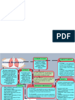 Mapa Conceptual Sistema Respiratorio