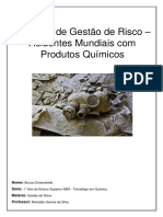 Trabalho de Gestão de Risco - Acidentes Mundiais Com Produtos Químicos