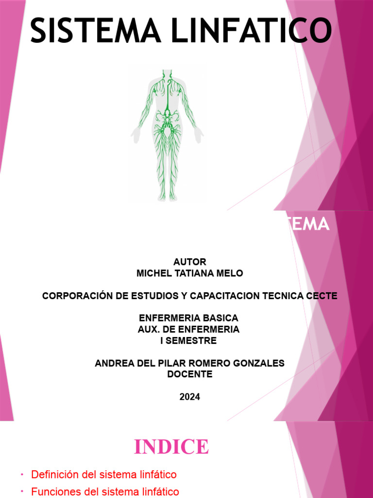 Presentacion Del Sistema Linfatico Pdf Sistema Linfático Linfa