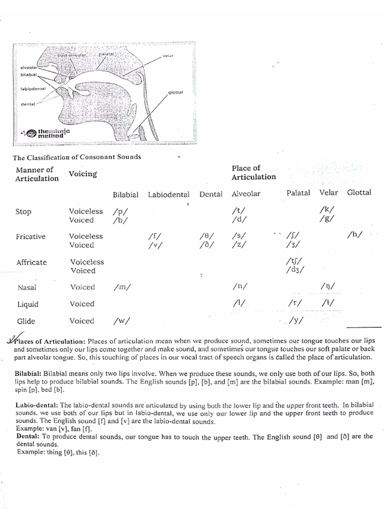 Phoneme Sheet HS1101 | PDF