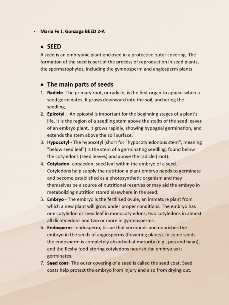 Seed Anatomy and Characteristics | PDF | Seed | Germination