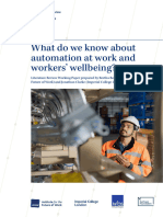 Workstream 1 Literature Review - Automation and Wellbeing