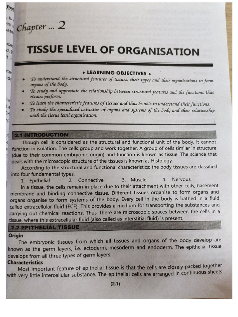 Epithelial and Connective Tissue | PDF