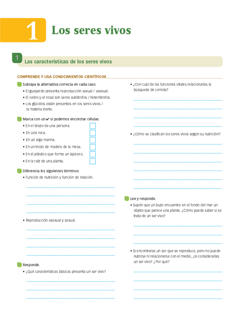 Funciones Vitales de los Seres Vivos | PDF