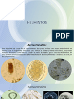 Formas Microscopicas Parasitologia Clinica