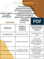 Resumo Mediadores Inflamatórios