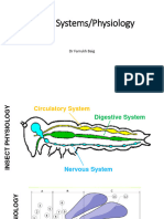 Insect Systems