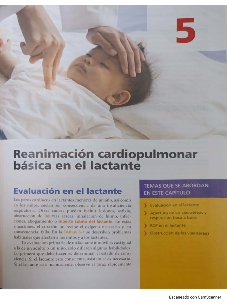 BLS - ECSI - 78-End | PDF