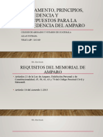 II - Procedencia y Presupuestos Del Amparo