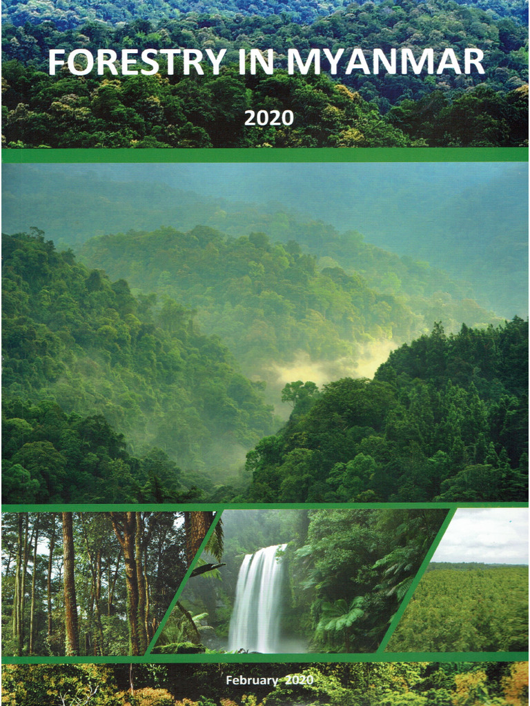 Sustainable Forestry in Myanmar 2020 | PDF | Forestry | Sustainability