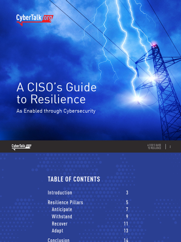 CISO's Guide to Cyber Resilience PDF Security Computer Security
