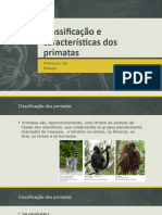 Classificação e Características Dos Primatas