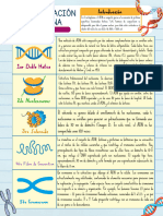 Hoja de Trabajo Biología Organización Del Ácido Desoxirribonucleico (ADN)