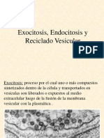 Exocitosis, Endocitosis y Reciclado Vesicular