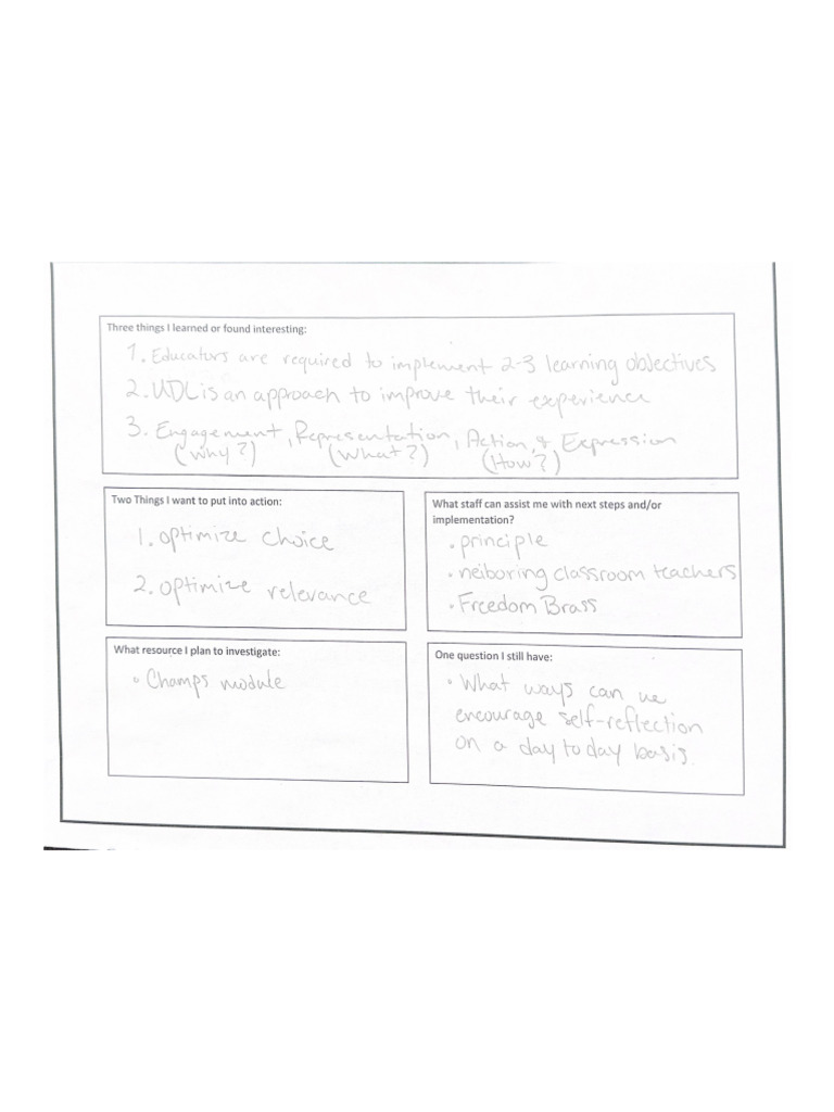 Udl Graphic Organizer | PDF