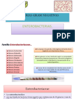 Enterobacterias CLASE 2024 (Autoguardado)