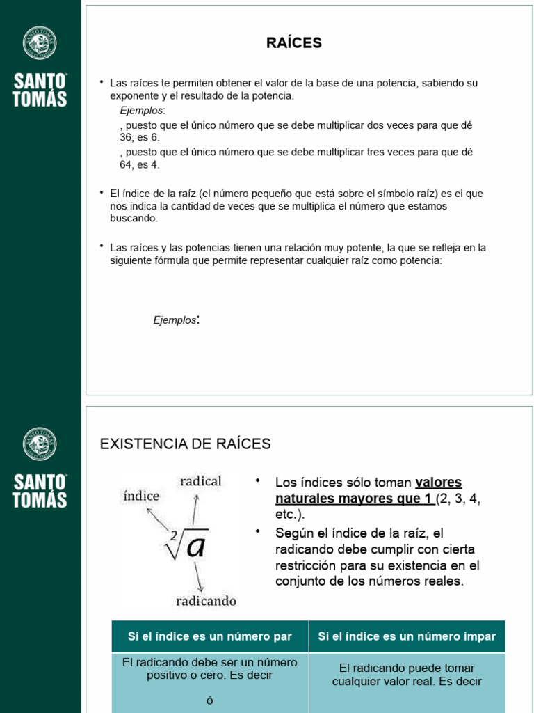 2 1 Raices | PDF