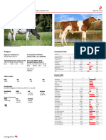 Swissgenetics CH120147775462int en