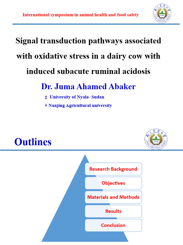 The Mechanisms of SARA Induced OS | PDF | Liver | Cattle