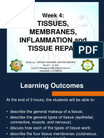 Week 4 Lecture Notes On Tissues, Membranes, Inflammation and Tissue Repair STUDENT