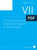 Competencias Transversales