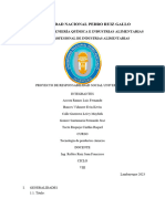 2do Avance - Proyecto de Responsabilidad Social Universitaria