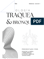 Resumen Histologia Traquea y Bronquios Final