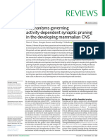 Reviews: Mechanisms Governing Activity-Dependent Synaptic Pruning in The Developing Mammalian CNS