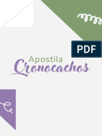 Apostila Cronocachos - Alessandra Flawer 2022