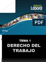 Derecho Laboral-2014 Vale