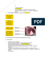 Hitpoa - Fisiologia Da Contração