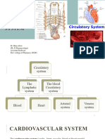 Anatomy CVS