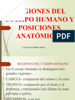 1.1.2 Generalidades e La Anatomia Conceptos y Planos Sagitales