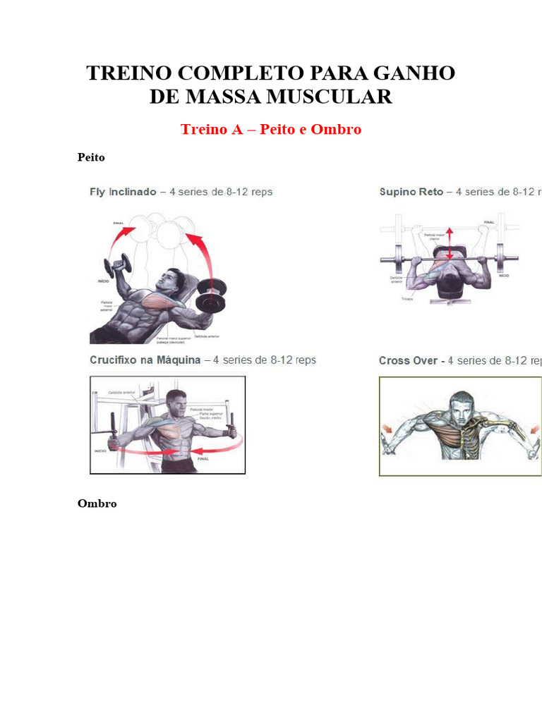 Treino Completo para Ganho Muscular | PDF | Músculo | Treinamento de força