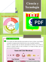 Ciclo Menstrual