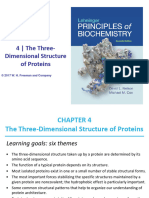 Chapter 4 - The 3-D Structure of Proteins