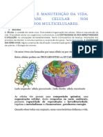 Aula 02 - CÉLULA E MANUTENÇÃO DA VIDA. DIVERSIDADE CELULAR NOS ORGANISMOS MULTICELULARES.