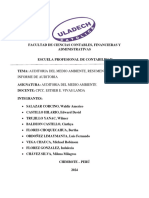 Auditoria Del Medio Ambiente, Resumen Sobre El Informe de Auditoria