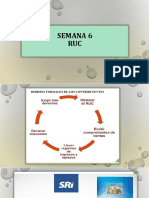 Semana 6 RUC