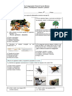 Prueba Comprensión Natural Cuartos Básicos 2 UNIDAD