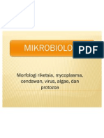 Morfologi Riketsia, Mycoplasma, Cendawan, Virus, Alage Dan Protozoa