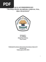 Download morfologi riketsiamycoplasmacendawanvirusalgae dan protozoa by Rizkia Dara Febrina SN71651473 doc pdf