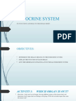 Endocrine System